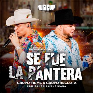 Artwork for Se Fue La Pantera (En Vivo)
