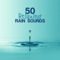 Artwork for 50 Relaxing Rain Sounds by Relaxing Rain Sounds