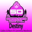 Artwork for Destiny (Original Mix)