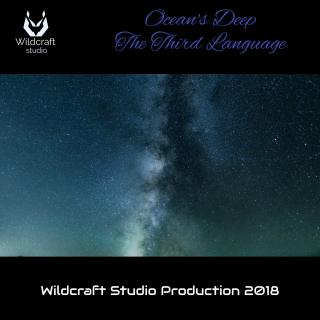 Artwork for The Third Language