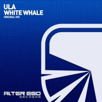 Artwork for White Whale by Ula