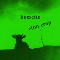 Artwork for Koesette by Eton Crop