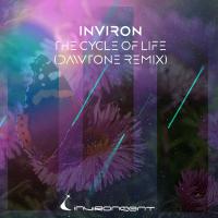 Artwork for The Cycle of Life (DaWTone Remix) by INVIRON