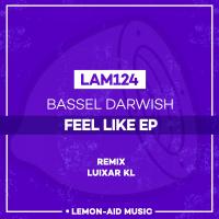 Artwork for Feel Like by Bassel Darwish