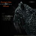 Artwork for No Emotions (Original Mix)