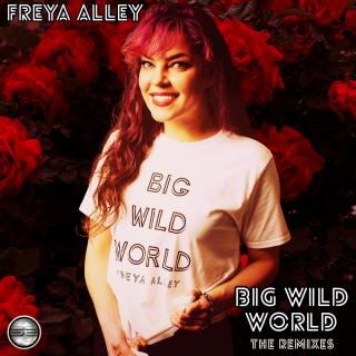 Artwork for Big Wild World (7" Mix)