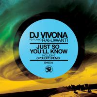 Artwork for Just So You'll Know by Dj Vivona