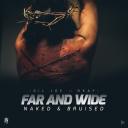 Artwork for Far and Wide (feat. Nkay)