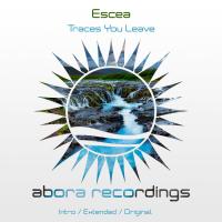 Artwork for Traces You Leave by Escea