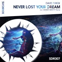 Artwork for Never Lost Your Dream by David Surok