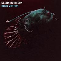 Artwork for Dark Waters: Artist Album by Glenn Morrison