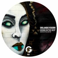 Artwork for Hiding In The Deep by Orlando Voorn