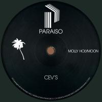 Artwork for Molly Holymoon by CEV's