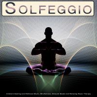 Artwork for Solfeggio: Ambient Healing and Wellness Music, Mindfulness, Binaural Beats and Relaxing Music Therapy by Solfeggio Frequencies 528Hz