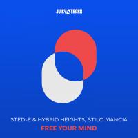 Artwork for Free Your Mind by Sted-E & Hybrid Heights