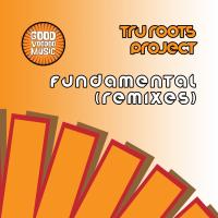 Artwork for Fundamental (Remixes) by Tru Roots Project