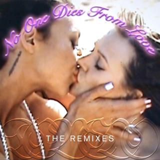 Artwork for No One Dies From Love (220 KID Remix)