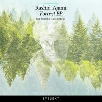 Artwork for Forrest EP by Rashid Ajami