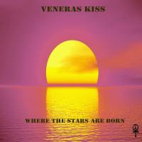 Artwork for Where The Stars Are Born by Venera's Kiss