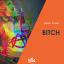 Artwork for Bitch (Original Mix)