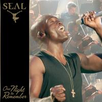 Artwork for One Night to Remember by Seal