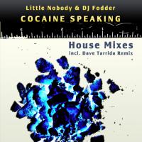 Artwork for Cocaine Speaking by Little Nobody