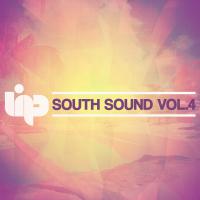 Artwork for South Sound, Vol. 4 by Various Artists