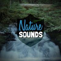 Artwork for Nature Sounds by Nature Sounds