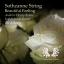 Artwork for Beautiful Feeling (Seif & Paula Remix)