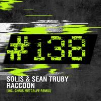 Artwork for Raccoon (Chris Metcalfe Remix) by Solis & Sean Truby