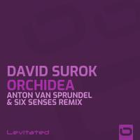 Artwork for Orchidea (Anton van Sprundel & Six Senses Remix) by David Surok