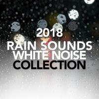 Artwork for Rain Sounds & White Noise Collection 2018 by Rain Sounds