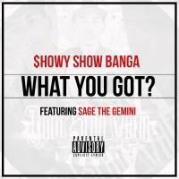 Artwork for What You Got? (feat. Sage The Gemini) by SHOW BANGA