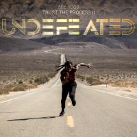 Artwork for Trust the Process II: Undefeated by Ace Hood