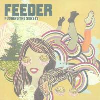 Artwork for Pushing the Senses by Feeder