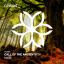 Artwork for Dim Colours