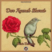 Artwork for Dar Ayeneh Sharab by Ersin Ersavas