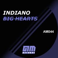 Artwork for Big Hearts by Indiano