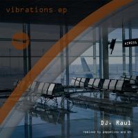 Artwork for Vibrations EP by DJ Raul