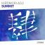 Artwork for Summit (Extended Mix)