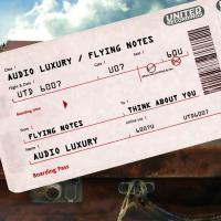 Artwork for Flying Notes by Audio Luxury