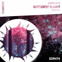 Artwork for Butterfly Flight by Entrance