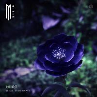 Artwork for Hurt (feat. Zack Gray) by MitiS