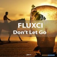 Artwork for Don't Let Go by Fluxci