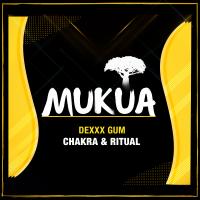 Artwork for Chakra & Ritual by Dexxx Gum