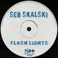 Artwork for Flash Lights by Seb Skalski