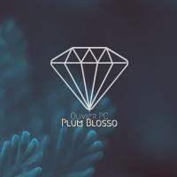 Artwork for Plum Blossom by Olivier Pc