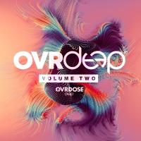 Artwork for OVRDEEP VOL.2 by Various Artists