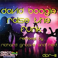 Artwork for Raise The Funk by David Boogie