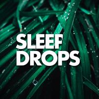 Artwork for Sleep Drops by Whale Sounds